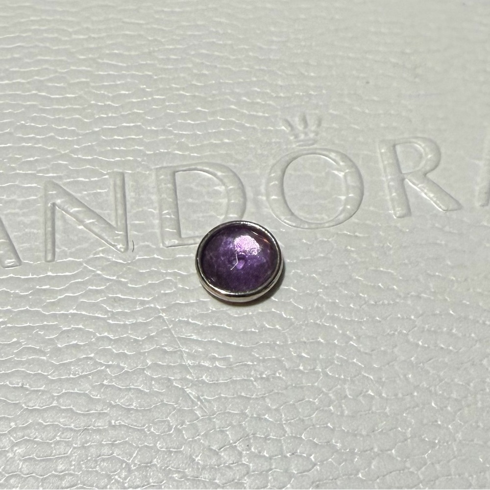 Pandora Purple February Birthstone Locket Charm